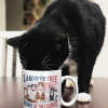 Land of the Free, Home of the Felines – Patriotic Cat Lover Ceramic Mug